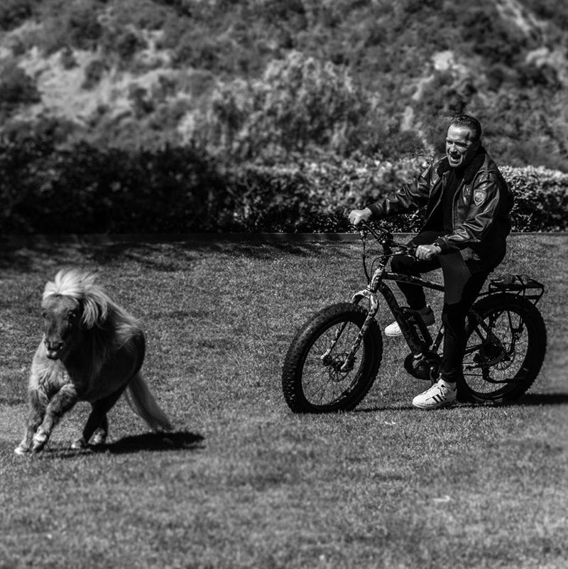 Living Legend – Amazing Shots